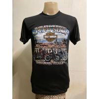 ราคา เสื้อยืด ลาย ฮาเล่ 3D สไตล์วินเทจ (18965889172)
