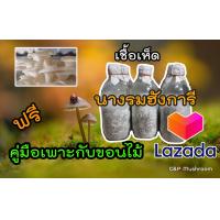 ราคา เชื้อเห็ดนางรมดำ ฟรีคู่มือเพาะกับขอนไม้ (15630837073)