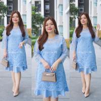 ราคา เสื้อผ้าสาวอวบ เดรสสาวอวบ เสื้อผ้าไซด์ใหญ่ เดรสผ้าลูกไม้ด้านหลังแต่งผ้าโฟเวย์ (20585665485)