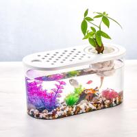 ราคา PET PLAIN ตู้ปลากัดพรีเมียม ขนาดกะทัดรัด วัสดุพลาสติกใสเกรดพรีเมียม ดีไซน์โมเดิร์น ตกแต่งสวยงาม (24493683151)