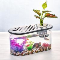 ราคา Witte ตู้ปลาขนาดเล็ก ตู้ปลาพลาสติกใส เหมาะสำหรับเลี้ยงปลากัด ตกแต่งตู้ปลา (24348554076)