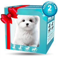 ราคา หุ่นยนต์สุนัขแบบตุ๊กตาขนสั้น หุ่นยนต์ผ้ากำมะหยี่อิเล็กทรอนิกส์ หุ่นยนต์ตุ๊กตาลูกสุนัข หุ่นยนต์ของเล่น (24650007512)
