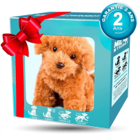 ราคา หุ่นยนต์สุนัขแบบตุ๊กตาขนสั้น หุ่นยนต์ผ้ากำมะหยี่อิเล็กทรอนิกส์ หุ่นยนต์ตุ๊กตาลูกสุนัข หุ่นยนต์ของเล่น (24650007513)