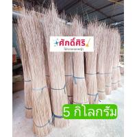 ราคา ก้านมะพร้าว คัดพิเศษ 80 100 ซม ก้านเเดง สะอาด ก้านไม้กวาดทางมะพร้าว ก้านไม้กวาดเเข็ง ก้านไม้กวาดลานวัด (22690078407)