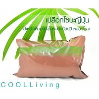 ราคา coolliving Buckwheat เปลือกโซบะญี่ปุ่น 1 แพ็ค มี 2 ห่อ รวม 500 กรัม สำหรับเติมบรรจุในหมอนร้อยปี หมอนโซบะ เพิ่มความจุของเนื้อโซบะให้แน่นยิ่งขึ้น (809588095)