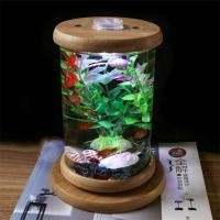 ราคา โหลใส่ปลากัด ไฟLED มีอุปกรณ์ตกแต่ง โหลเลี้ยงปลา โหลแก้ว โหลดเลี้ยงปลาขนาดเล็ก พร้อมส่ง (19590355644)