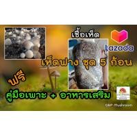 ราคา เชื้อเห็ดฟางชุด 5 ก้อน พร้อมอาหารเสริม และคู่มือเพาะ (18246547795)