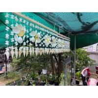ราคา ม่านเปลือกหอยแท้ ลายดอกไม้ กว้าง80xยาว30cm กว้าง100x30cm (21676648825)