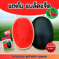 ราคา ซองใหญ่ แตงโมแบล็คแจ็ค 40กรัม เมล็ดพันธุ์แตงโม ตราตะวันต้นกล้า Black Jack แบล็คแจ็ค แตงโม แบล็คแจค (24255273857)
