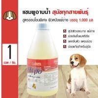 ราคา Ostech Hypo Allergenic แชมพูสุนัข สูตรอ่อนโยนพิเศษ ผิวบอบบาง ผิวแพ้ง่าย สำหรับสุนัขทุกสายพันธุ์ 1000 3800 มล แกลอน (103397359)