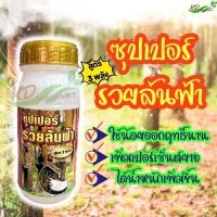 ราคา ยาทาหน้ายาง ซุปเปอร์รวยล้นฟ้า 500 ซีซี สูตร 3 พลัง ใช้น้อยออกฤทธิ์นาน เปลือกนุ่ม เพิ่มปริมาณน้ำยาง รักษาหน้ายาง (23034688215)
