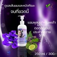 ราคา แชมพูนพเก้า แก้ผมร่วง รังแค คัน แก้ผมหงอก แชมพูสมุนไพรธรรมชาติแท้ๆ 100 ฟื้นฟู รากผมของคุณให้ดกดำ เงางามอยู่เสมอ ใช้ได้นานมาก (22537416981)