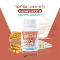 ราคา บรรเทาอาการกรดไหลย้อน บรรเทาอาการท้องอืด 60 เม็ด ส่งฟรี (22053722135)