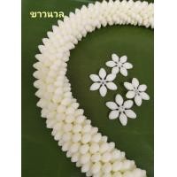 ราคา มะลิวงเล็ก 2 5cm พลาสติก เสมือนจริง (18993572260)