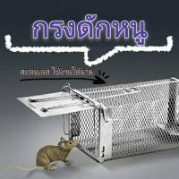 ราคา กรงดักหนู ที่ดักหนู Mouse cage กรงดักแมว แข็งแรง ทนทาน กับดักกระรอก กระแต กรงหนู กรงดักหนูนา สแตนเลส ขนาด 27 15 11 cm (10542466361)