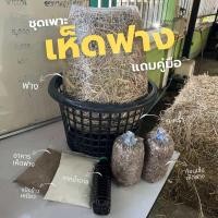 ราคา ชุดเพาะเห็ดฟางครบชุดดอกใหญ่ดอกเยอะ299บาท (21731944338)
