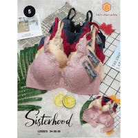 ราคา ชุดชั้นใน เสื้อใน แฟชั่น sister hood L250S75 (20755451516)
