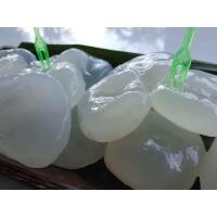 ราคา ลูกตาลสด ปอกกลม จากตาลโตนดเพชรบุรี ขนาด1 kg (23817711325)