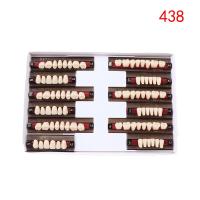 ราคา 84 Pcs Box Dental Synthetic Polymer Teeth Full Set Resin Denture False Teeth 3 Size (24325446907)