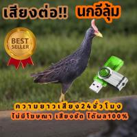 ราคา เสียงนกอีลุ้ม เสียงต่อนกอีลุ้ม เสียงล่อนกอีลุ้ม นกตูม ต่อเข้าเร็ว USBแฟลชไดร์ฟเสียงต่อ ไม่มีโฆษณาแทรก (23840831709)