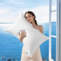 ราคา ซื้อ1 แถม 3 1000G Hilton Pillow หมอนหนุนใบใหญ่ หมอนขนห่าน 100 มีผ้าฝ้ายไหมขนนก ต้านเชื้อแบคทีเรียกันไรฝุ่น ป้องกันนอนกรน หมอนโรงแรมแท้ (24534112040)