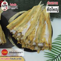 ราคา ปลาไล้กอคัดใหญ่ 1กิโล ปลาช่อนทะเลแห้งตัวใหญ่ ปลาช่อนเค็ม ปลาเนื้อหนา ทำน้ำพริก ทำหน้าปลา (7397892248)
