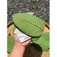 ราคา ส่งฟรี กระเป๋าใบไม้ กระเป๋ายางพารากระเป่าสตางค์ Handmade (10750770989)