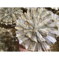 ราคา พร้อมส่ง ปลากระดี่ ปลากระดี่ตากแห้ง 10 วง ร้านคัดปลากระดี่ตัวเล็กมาขายเพราะปลากระดี่ตัวเล็กจะอร่อยกว่าตัวใหญ่ งดดราม่า สด ใหม่ (7418317471)