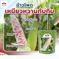 ราคา เมล็ดข้าวโพดข้าวเหนียว ลูกผสม เหนียวหวานทับทิม ตราศรแดง เมล็ดข้าวโพด เมล็ดพันธุ์ข้าวโพด ศรแดง (23129580557)