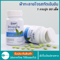 ราคา ฟ้าทะลายโจรสกัด เข้มข้นสูง ยาฟ้าทะลายโจร 60 เม็ด 1 กระปุก ฟ้าทลายโจรของแท้100 เม็ดเล็กทานง่าย ยาฟ้าทะลายโจน เทียบเท่าผงยา500มก สมุนไพรฟ้าทะลายโจร สินค้าพร้อมส่ง มีเก็บเงินปลายทาง (12918905085)