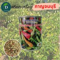 ราคา เมล็ดพริกกระเหรี่ยง กาญจนบุรี 20 กรัม Hot Pepper ตราภูเขาทอง เมล็ดพันธุ์พริกกระเหรี่ยง กระเหรี่ยงกาญ เมล็ดพันธุ์พริก เมล็ดพริก (18899325068)