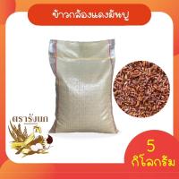 ราคา ข้าวกล้องแดงมันปู 5 กก กระสอบ (24146664596)