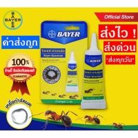 ราคา ของแท้ ล๊อตใหม่ เก็บได้นาน 5 ปี มีเอกสาร รับประกันของแท้ 100 เจลกำจัดมด แมลงสาบ เหยื่อกำจัดมด แมลงสาบ ยาฆ่ามด Bayer Quantum Blattanex Gelแมลงสาบ ไบเออร์ ควอนตั้ม 12 กรัม cockroach Ant (583816332)