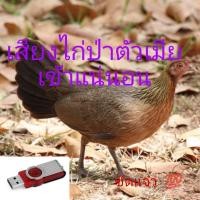 ราคา แฟลชไดร์ฟเสียงไก่ป่าตัวเมีย เสียงไก่ป่าตัวเมีย เข้าแน่นอน ชัดเเจ๋ว100 (12072652584)