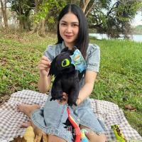 ราคา ตุ๊กตา เขี้ยวกุด มังกร เพลิงนิล เพลิงนวล ขนาด 8 นิ้ว และผองเพื่อน Toothless How To Train Your Dragon 3 DreamWorks ลิขสิทธิ์แท้ ของขวัญ (10768208718)