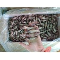 ราคา ตอยต้ม หมึกกะตอยต้ม ราคาพิเศษ นน 500 กรัม แม่แขทะเลแห้ง จัดส่ง ตอยต้ม ครึ่งโล (4537958267)