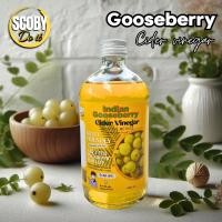 ราคา Indian Gooseberry น้ำมะขามป้อมไซเดอร์ วีนีก้าร์ Probiotics Drinks น้ำส้มสายชูหมักธรรมชาติ ORGANIC WITH THE MOTHER Homemade ACV 450 ml by Scoby Doit (24164571735)