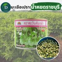 ราคา มะเขือเปราะน้ำหยดราชบุรี 29 ขนาด 20 กรัม 50 กรัม ทรงหยดน้ำ ติดผลดก มะเขือขาว มะเขือน้ำหยดราชบุรี มะเขือตะวันต้นกล้า เมล็ดพันธุ์มะเขือขาว (21966212641)