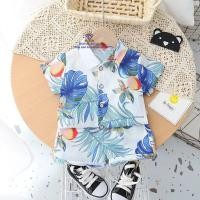 ราคา F0065 ชุดเสื้อเชืต กางเกงขาสั้น ฮาวาย ชุดเซ็ท ชุดเล่นสงกรานต์ ไปเที่ยวทะเล เสื้อผ้าเด็กผู้ชาย สำหรับเด็ก (20025386579)