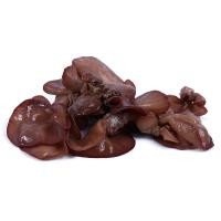 ราคา สดจากสวน เห็ดหูหนู สด สะอาด รับประกันคุณภาพ ราคาถูก ส่ง (20957939085)