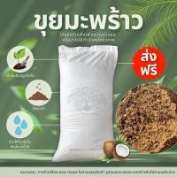 ราคา ส่งฟรี ขุยมะพร้าวละเอียด 1 กระสอบ 7 10kg ขุยใต้แท้100 ขุยกะทิ ละเอียด ใยน้อย ใช้เวลาจัดส่ง 5 7 วัน (24224293733)