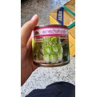 ราคา เมล็ดมะเขือเปราะ มะเขือเปราะ น้ำหยดราชบุรี 34 ขนาด 20 กรัม มะเขือขาว (21112649075)