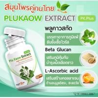ราคา ตัวช่วยเสริมภูมิ ต้านไวรัส จาก พลูคาวสกัดสูตรเข้มข้น พลูคาว พลูคาวสกัด PK Plus Plu Kaow 1 กระปุก 60 แคปซูล (21645430666)