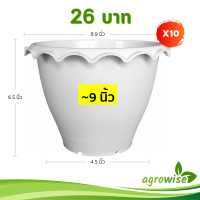 ราคา กระถาง กระถางต้นไม้ กระถางบัว ปากจีบ 9 นิ้ว สีขาว 10 ใบ ชิ้น อัน (23714386532)