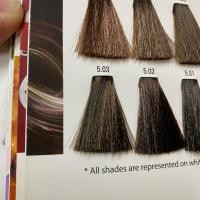 ราคา ไม่รวมไฮ LOREAL Maji Fashion Majibrown สีย้อมผม โทนน้ำตาล เน้นเม็ดสีน้ำตาล 50ml (20908592611)