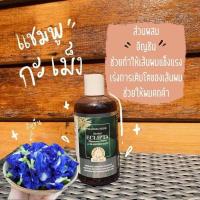 ราคา มะมา เฮิร์บ นิว เฮอร์บัล อีคลิปตา แชมพูกะเม็ง (23509636593)