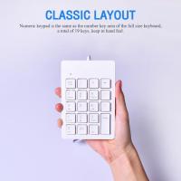 ราคา ส่งเร็ว Keyboard OKER SK 975 คีย์บอร์ด แป้นตัวเลข Numberic Mini Keypad DM 975 (6571118371)