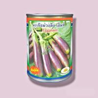 ราคา เมล็ดมะเขือม่วงลิง เอ็มที Eggplant ขนาด60กรัมและ3กรัม เมล็ดมะเขือยาวม่วง เมล็ดพันธุ์มะเขือ มะเขือม่วงลิง ตราภูเขาทอง (15969332029)