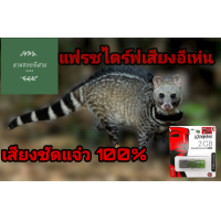 ราคา แฟลชไดร์ฟเสียงอีเห็น อีเห็น ดังนาน เข้าแน่นอน ชัดแจ๋ว100 ใช้ไม่ได้ยินดีคืนเงิน (13994398905)