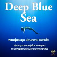 ราคา ถุงหอม ถุงหอมหินภูเขาไฟ ถุงหอมตู้เสื้อผ้า ถุงหอมห้องน้ำ ในรถยนต์ SEPHIRA Volcanic STONE SACHET (16477695801)